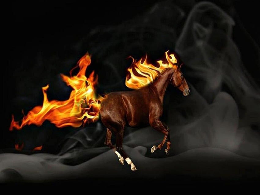 Flaming Horse, black background, fantasy, art, brown horse, smoke, run HD wallpaper