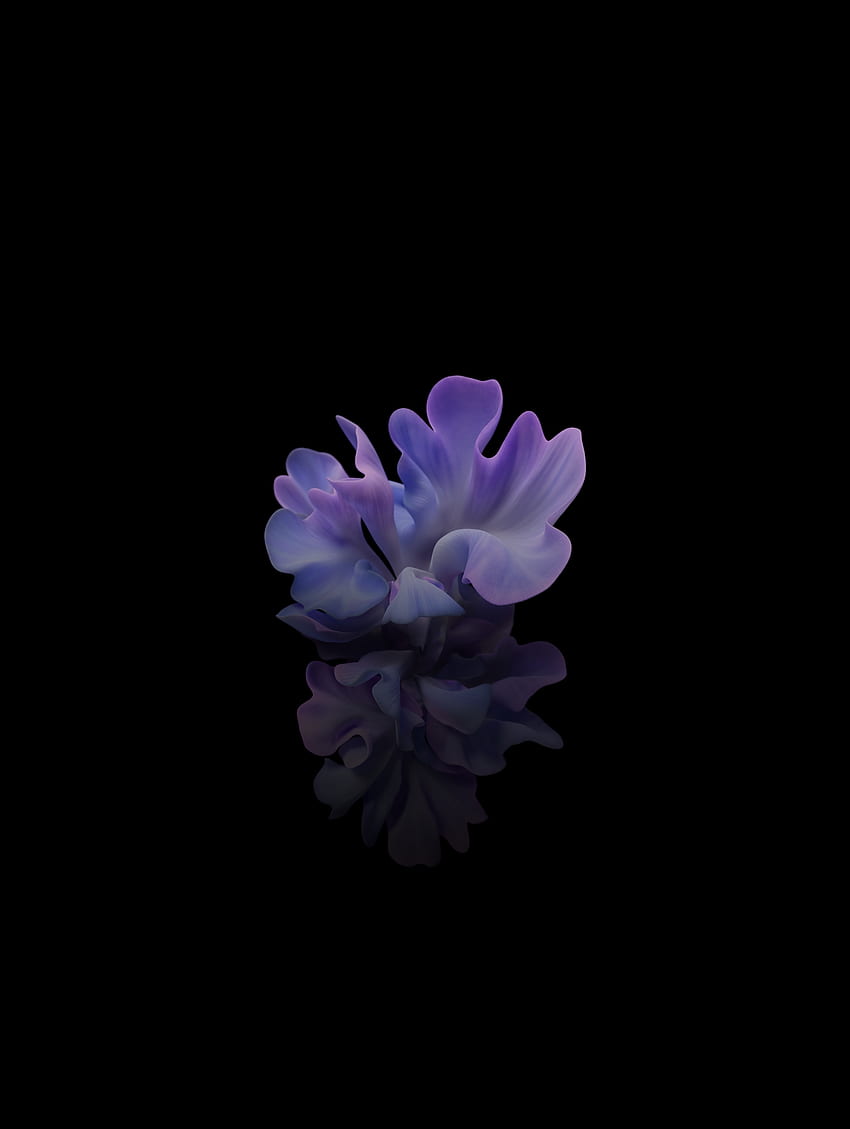 Kwiat, jasnoniebieski, ciemny Tapeta na telefon HD