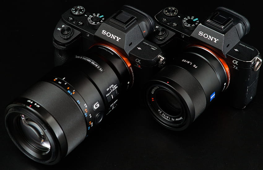Dos cámaras Sony DSLR negras fondo de pantalla