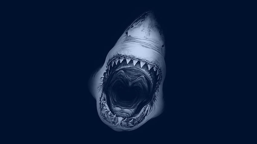 okyanus beyazı yırtıcı korkunç köpekbalıkları dişleri büyük deniz Yüksek Kalite, Yüksek Çözünürlük, Korkunç Sualtı HD duvar kağıdı