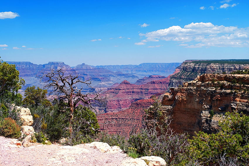 Grand Canyon F, Arizona, grafi, manzara, Grand Canyon, ABD, güzel, Milli Park, manzara, geniş ekran, doğa HD duvar kağıdı