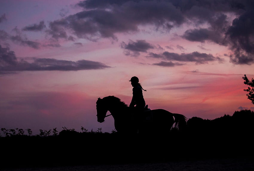 silhouette, dark, jockey, horse, twilight, equestrian HD wallpaper