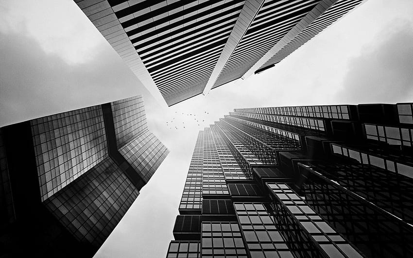 gratte-ciel, noir et blanc, monochrome, bâtiments modernes, centres d'affaires avec résolution. Haute qualité Fond d'écran HD