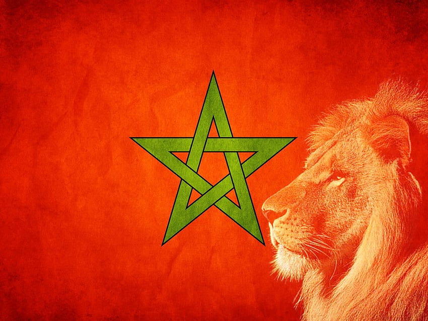 Facebook. Morocco, The atlas, Lion, Morocco Flag HD wallpaper