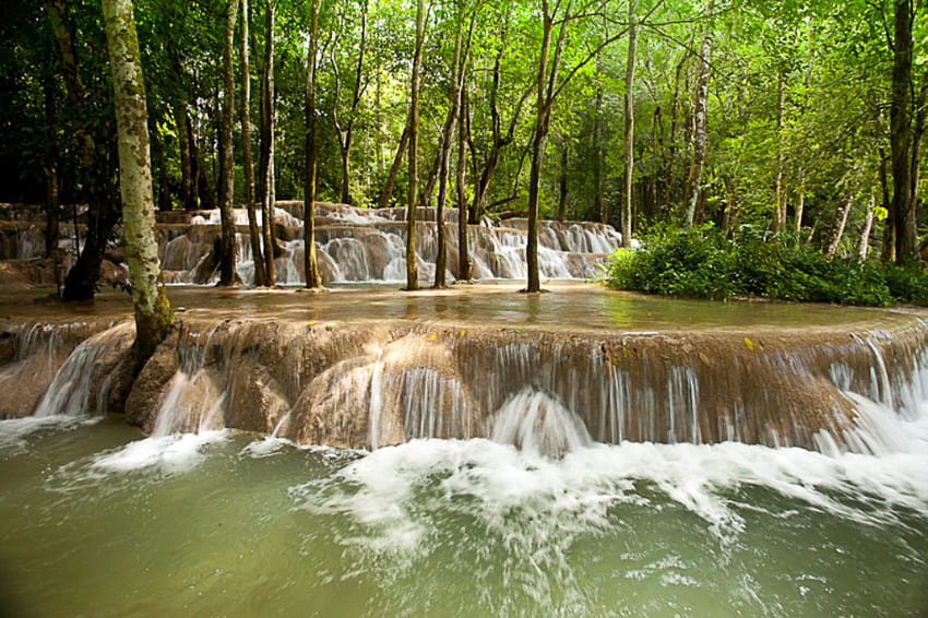 Cascading Waterfalls, flowing, foam, tropical, shrubs, rocks, growth, cool, trees, nature, water, clear HD wallpaper