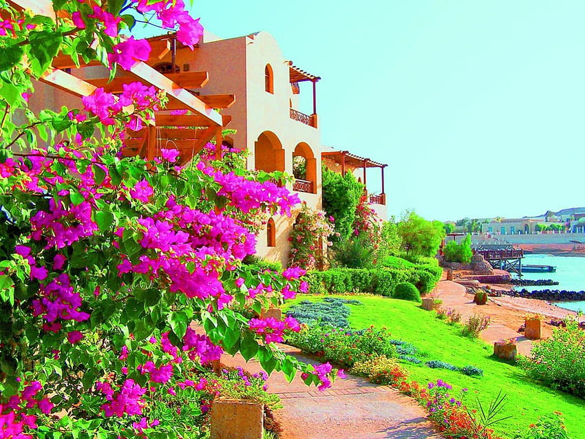 Турция ~ Sultan Bey Hotel, лодка, море, къща, Турция, трева, плаж, хотел Sultan Bey, розово, цвете, зелено, гледка, природа HD тапет
