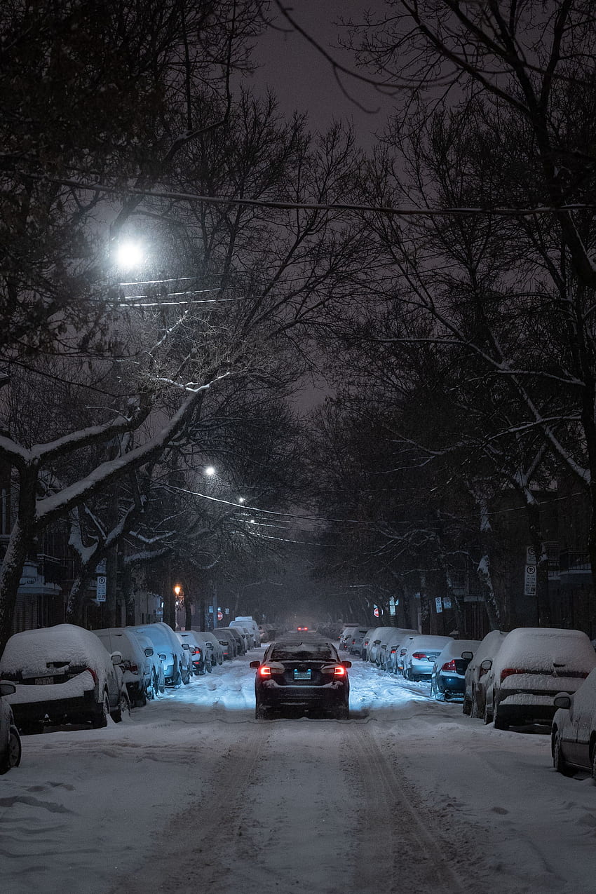 เมือง ฤดูหนาว ต้นไม้ กลางคืน รถยนต์ การเคลื่อนไหว การจราจร กิ่งไม้ ถนน วอลล์เปเปอร์โทรศัพท์ HD