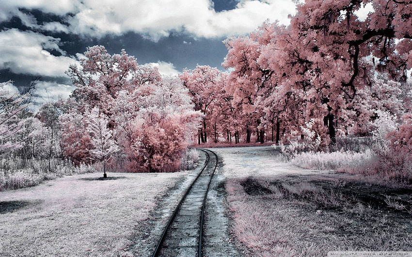 Menakjubkan - Musim Dingin Untuk iPhone X - & Latar Belakang Wallpaper HD