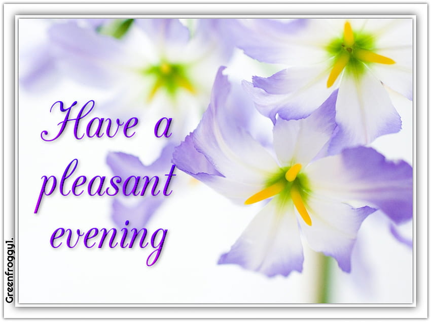 pleasant-evening-comment-card-pleasant-evening-hd-wallpaper-pxfuel