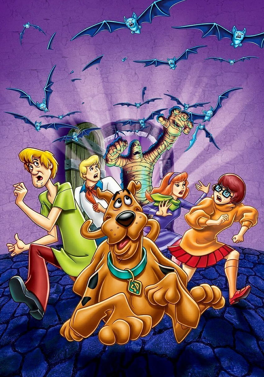 Chill Out Scoo Doo Hohe Qualität, Scooby Doo HD-Handy-Hintergrundbild