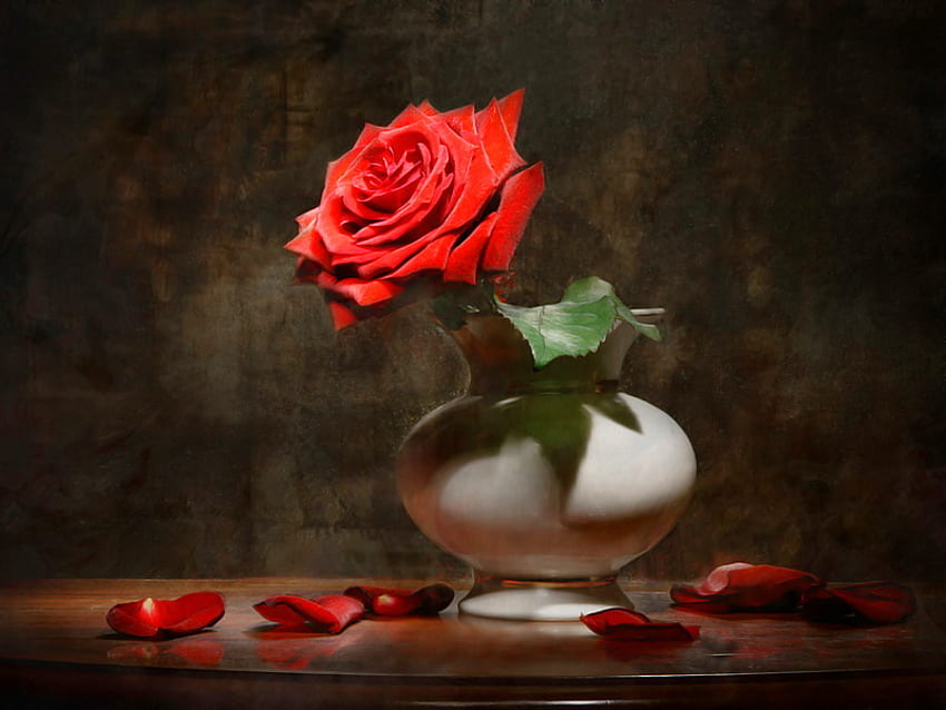 Red rose in vase, vase, beautiful, nice, rose, delicate, pretty, flower, red, lovely HD wallpaper