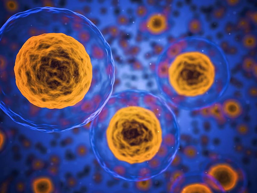 Tydzień do przodu w biotechnologii - Komórki nowotworowe Ludzkie ciało - Tapeta HD