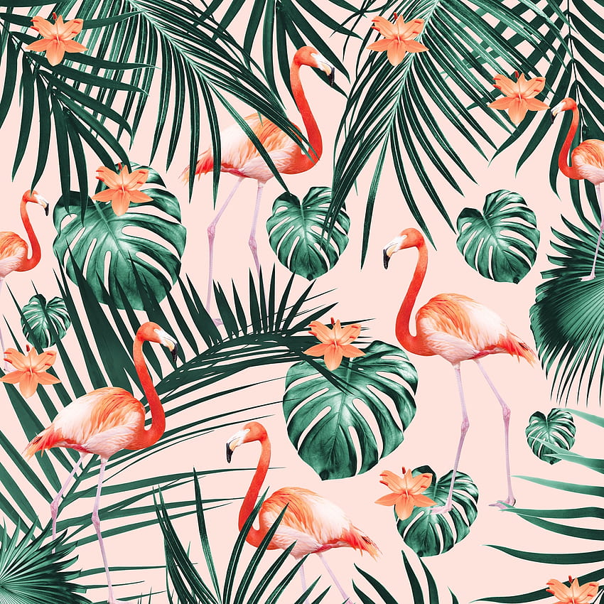 Beli Pola Flamingo Tropis 2 - pengiriman AS wallpaper ponsel HD