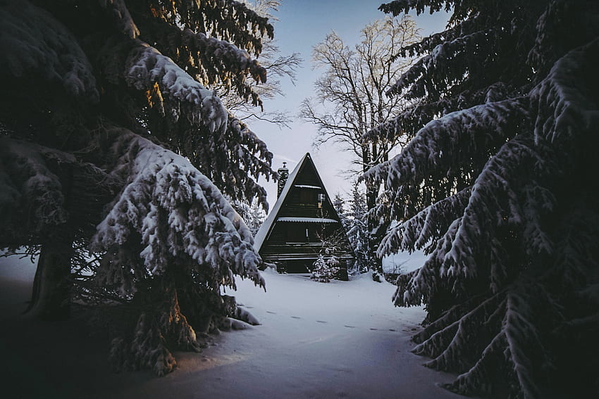 冬, 自然, 雪, 森, 小さな家, ロッジ, 居心地の良さ, 快適さ 高画質の壁紙