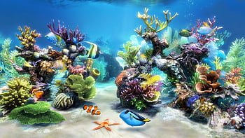 Fish Live Wallpapers for Android  Download