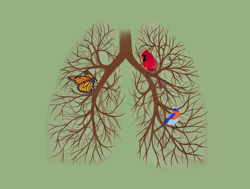 Pattern background with cute healthy pair of lungs