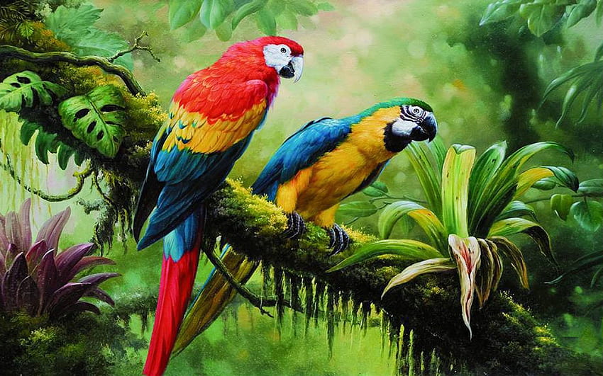 정글 열대우림 늪에서 잉꼬 앵무새 야생 조류 녹색 조밀한 초목 아트 Pc 태블릿 및 모바일용 분기에 앵무새 HD 월페이퍼