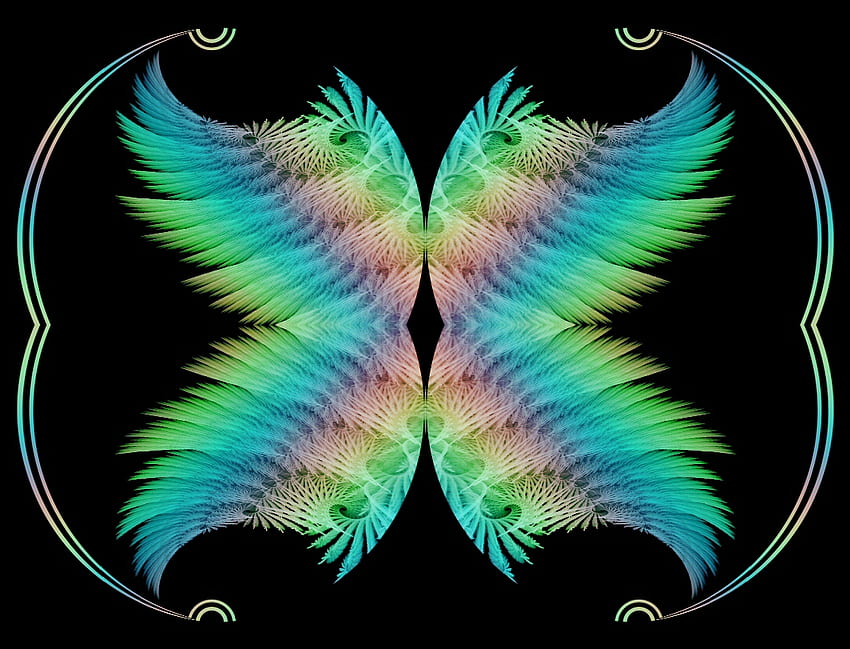 Earned my wings, colorful, feathers, rainbow, butterfly, fractal HD wallpaper