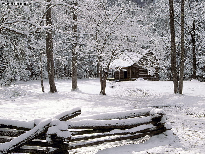 Winter Smoky Mountain, Great Smoky Mountains National Park HD wallpaper