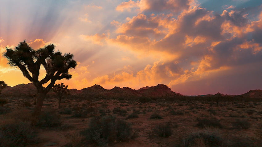 Sunset at Joshua Tree National Park, California, hills, clouds ...