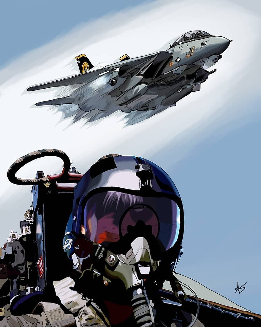 Pilota di F-14, jet Sfondo del telefono HD