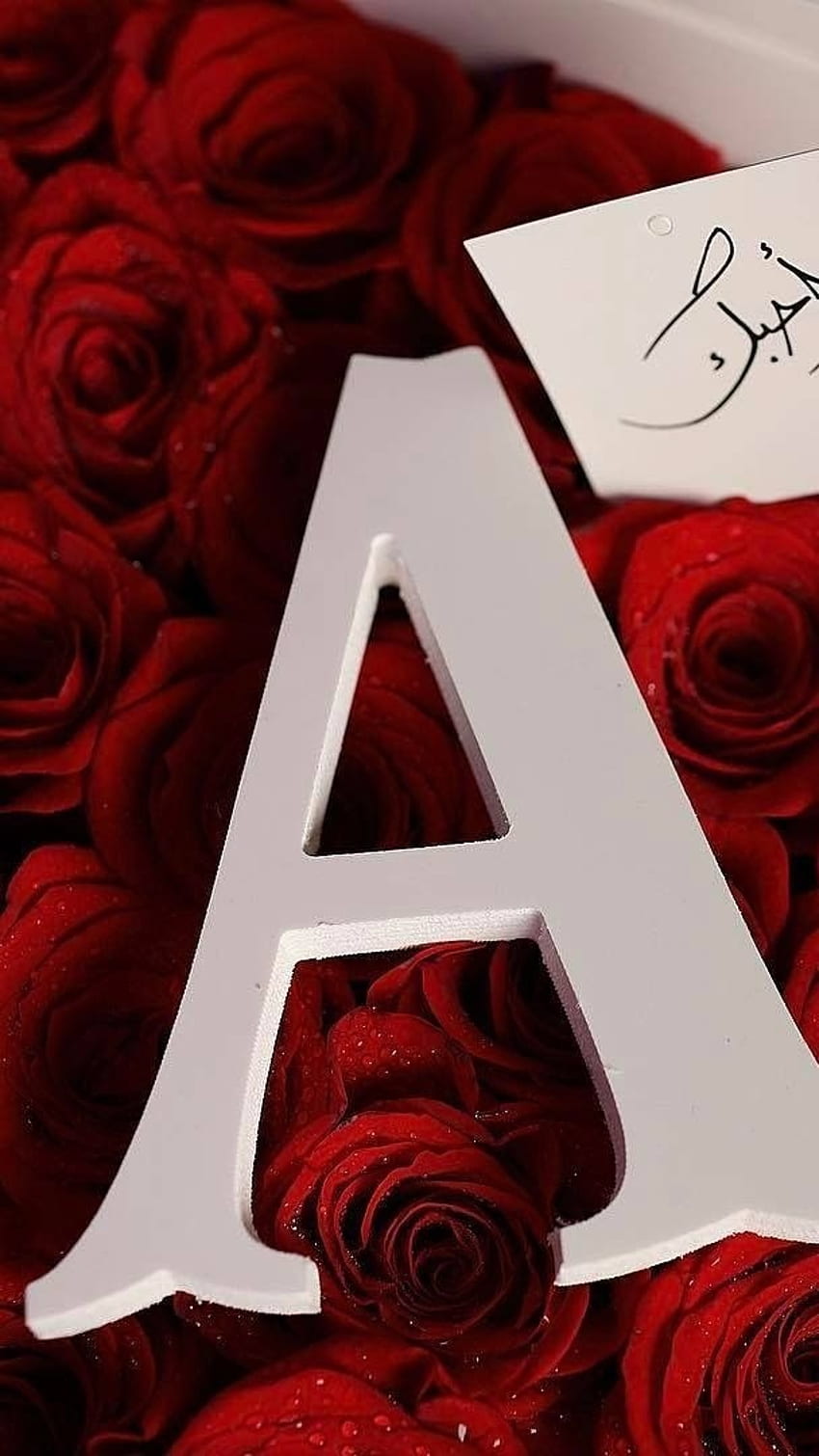 a-name-red-rose-background-hd-phone-wallpaper-pxfuel