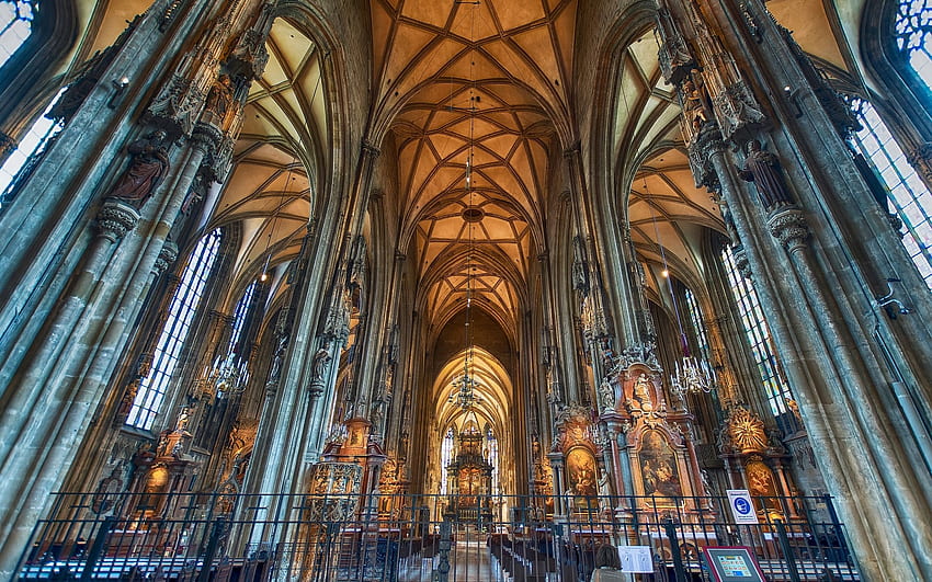 Viyana'da Katedral, Avusturya, içeride, Viyana, Avusturya, Gotik, kilise, katedral HD duvar kağıdı
