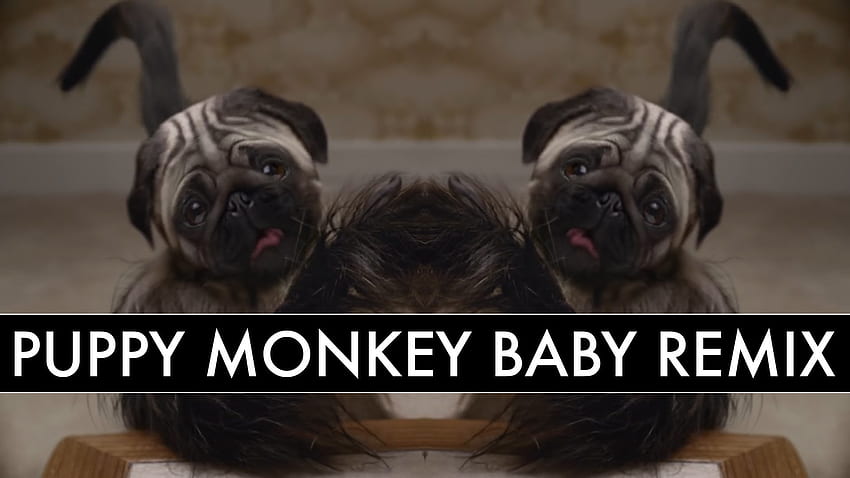 A Remix of the Disturbing 'Puppy Baby Monkey' Mountain Dew Super Bowl 50 Commercial HD wallpaper