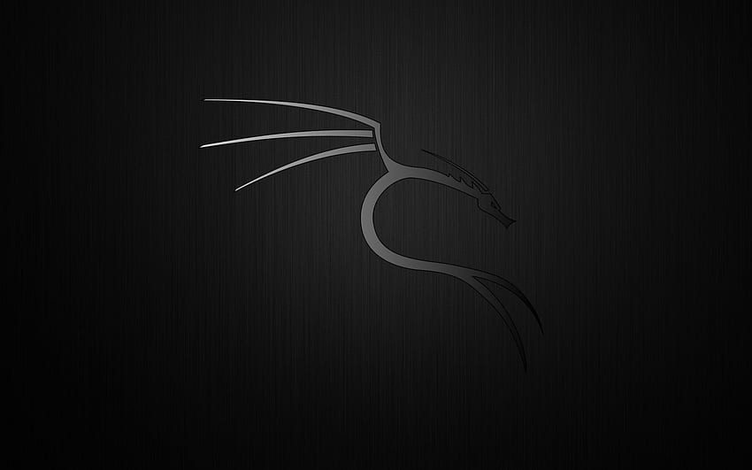 Kali Linux hermoso , Black Ultra Linux fondo de pantalla
