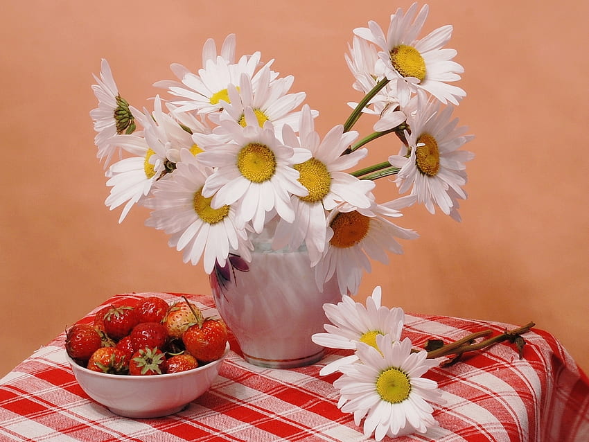 Plants, Flowers, Food, Strawberry, Camomile HD wallpaper