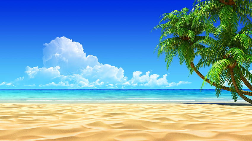 Elementi di vettore di arte vettoriale spiaggia tropicale in 2560 × 1440 tropicale. Ador. Spiaggia, spiaggia, spiaggia Sfondo HD
