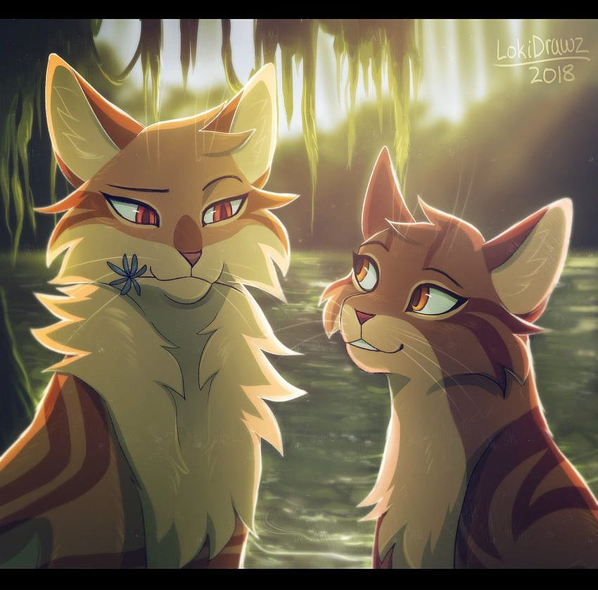 Warrior Cats Firestar, Leafpool HD wallpaper | Pxfuel