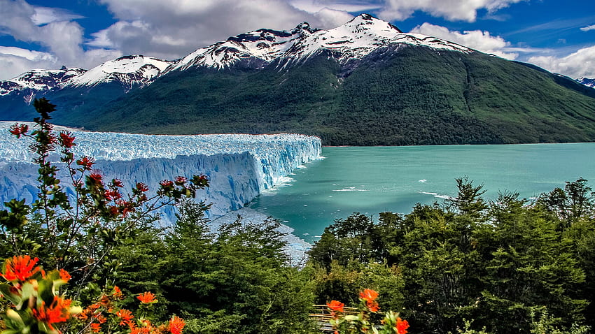 Ледник Перито Морено - Аржентина, Аржентина, Ледници, Южна Америка, Ледник Перито Морено HD тапет