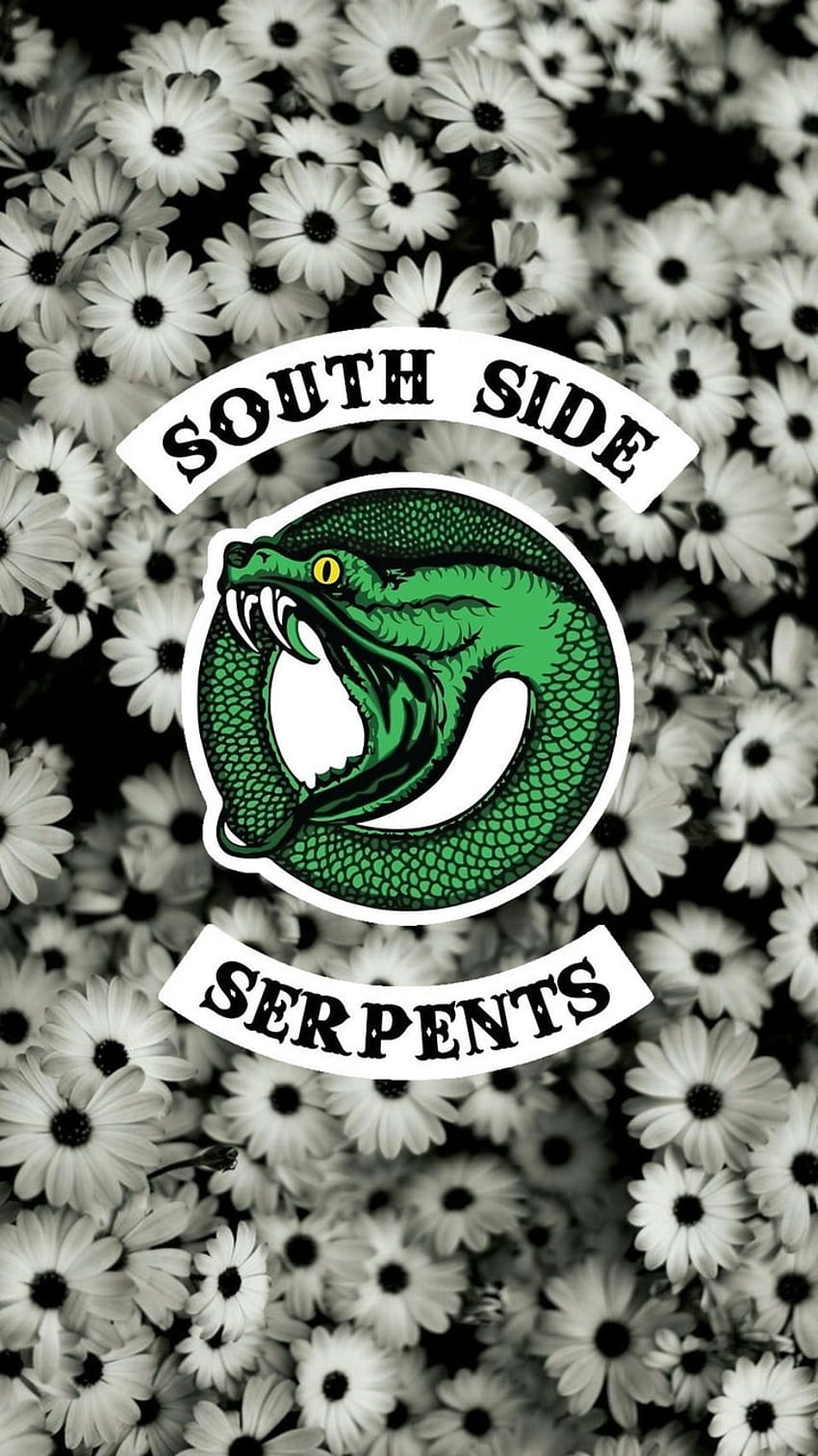 Southside Serpents Wallpapers - Top Free Southside Serpents Backgrounds -  WallpaperAccess