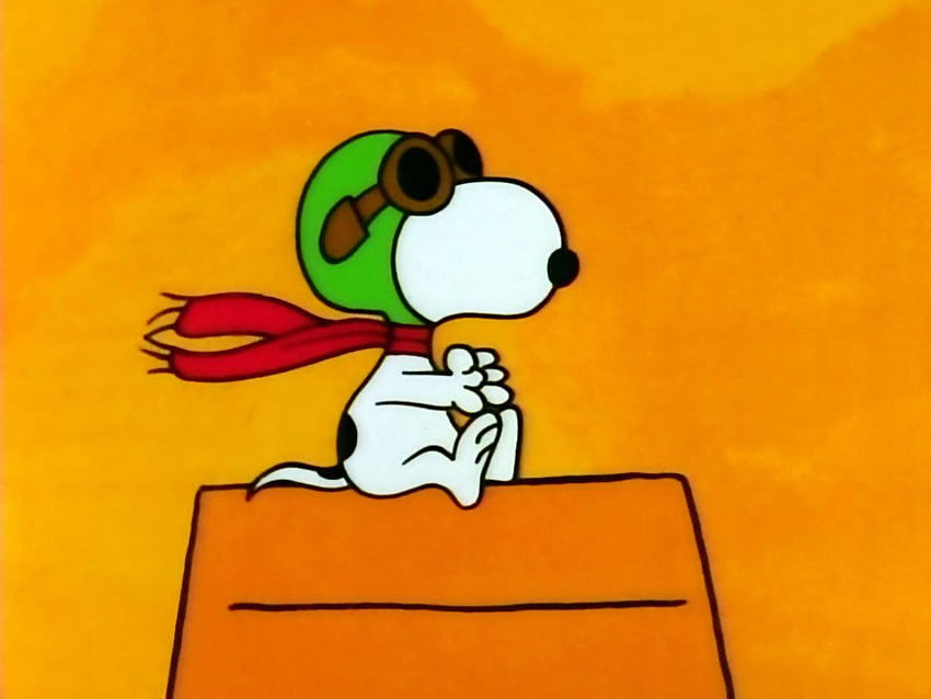 Snoopy Flying Ace 8 sztuk Snoopy Dog House Samolot i tło Tapeta HD