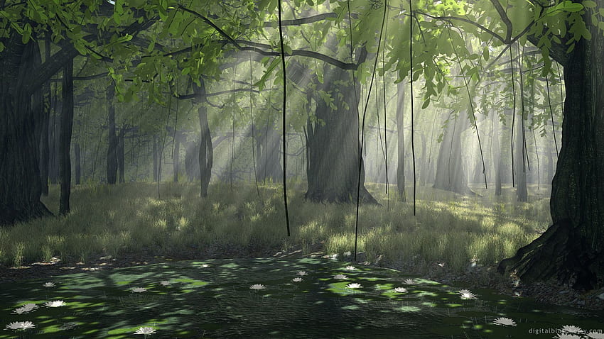 Nature, Trees, Sun, Rays, Beams, Forest, Vines, Creepers HD wallpaper