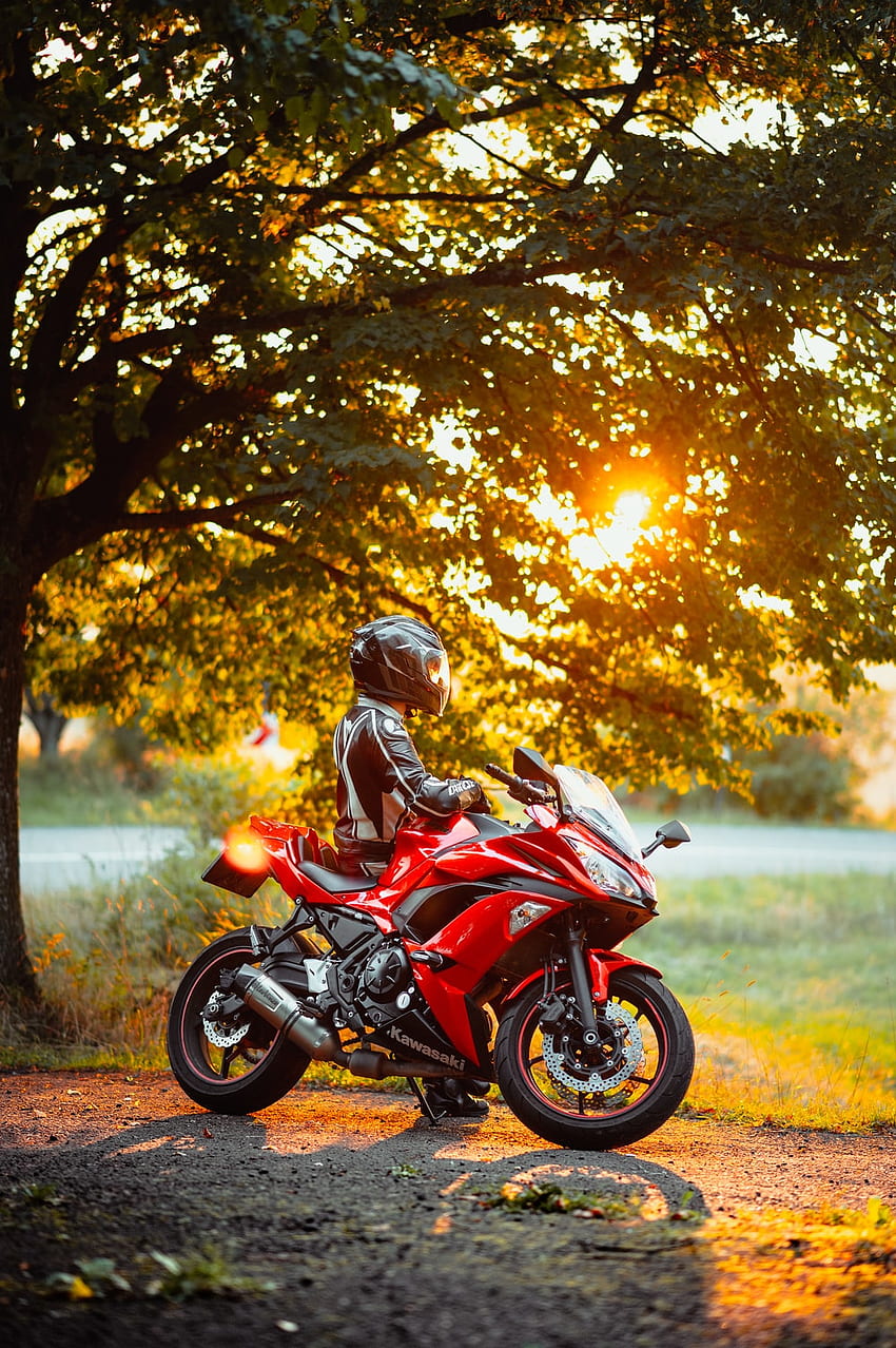 Best Motorcycle, Red Motorbike HD phone wallpaper | Pxfuel