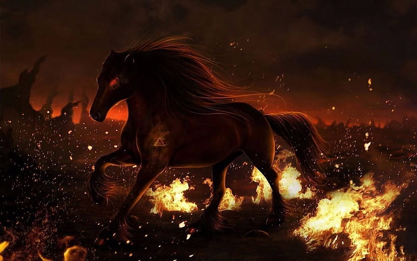 What is this?! A demon horse?. Fantasy horses, Fire horse, Horses HD wallpaper