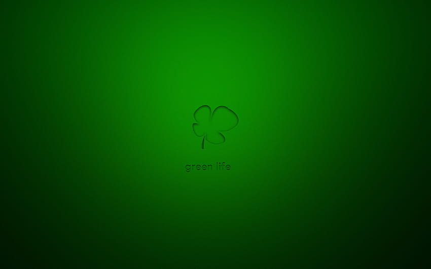 Chiel van Barneveld on groen. Green life, Green HD wallpaper
