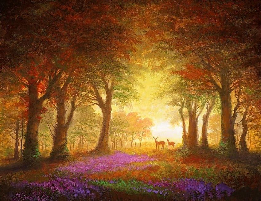 Woodland Sunrise, woods, attractions in dreams, paradise, forests, paintings, sunrise, summer, love four seasons, deer, trees, nature, flowers HD wallpaper