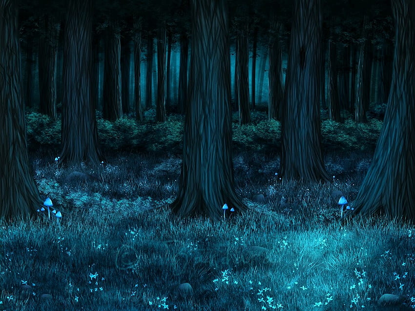 ArtStation - dunkler Waldhintergrund, Bandarai-Kunst, dunkler Dschungel-Anime HD-Hintergrundbild