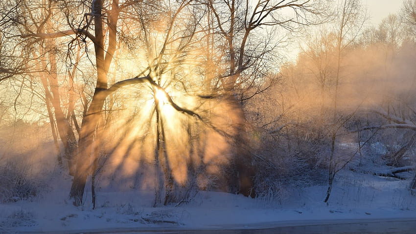 wunderbarer Wintersonnenaufgang, Winter, Fluss, Strahlen, Nebel, Bäume, Sonnenaufgang HD-Hintergrundbild