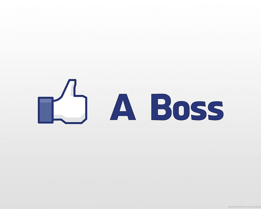 like-a-boss-quotes-funny-hd-wallpaper-pxfuel