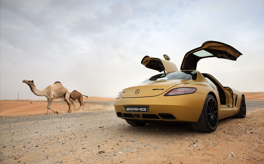 camello o mercedes benz sls amg en el desierto, desierto, camello, coche, puertas fondo de pantalla