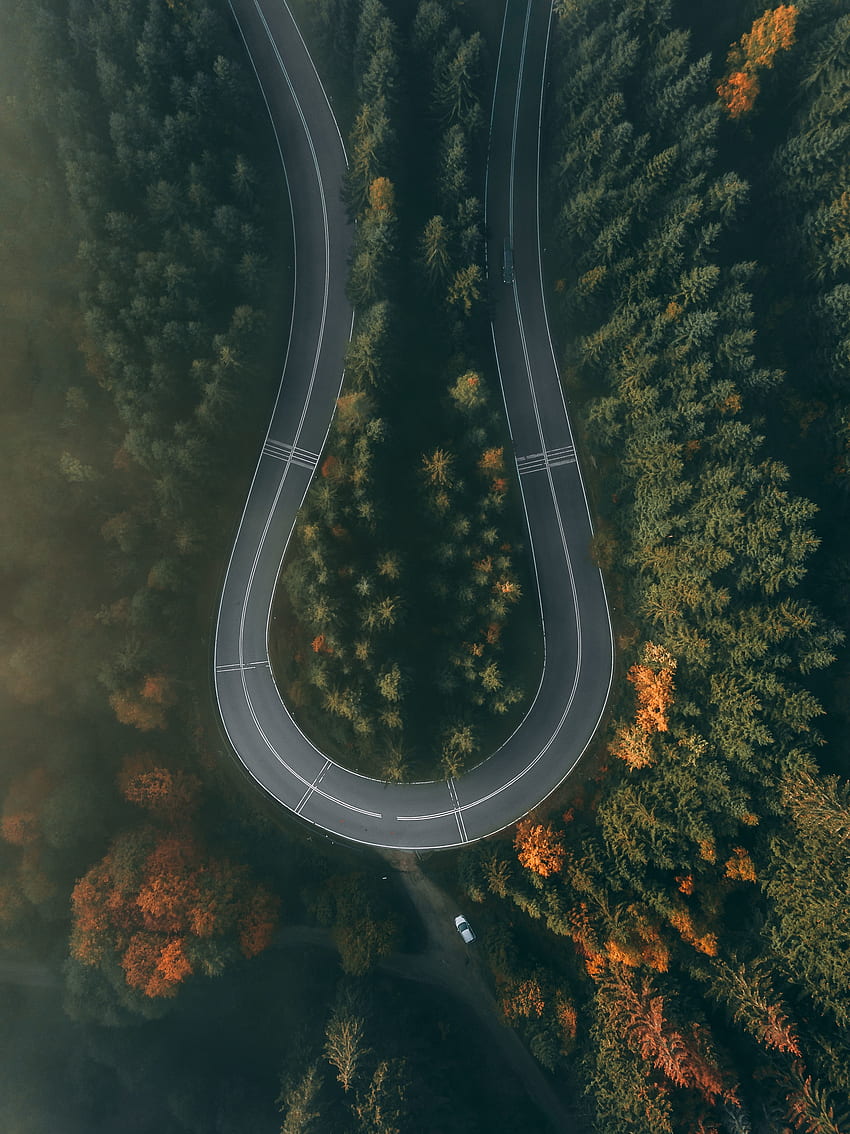 curva, camino, carretera, vista aérea, naturaleza fondo de pantalla del teléfono