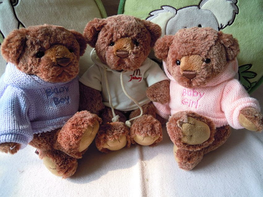 ours en peluche, doux, bébé, ours en peluche, jouets Fond d'écran HD
