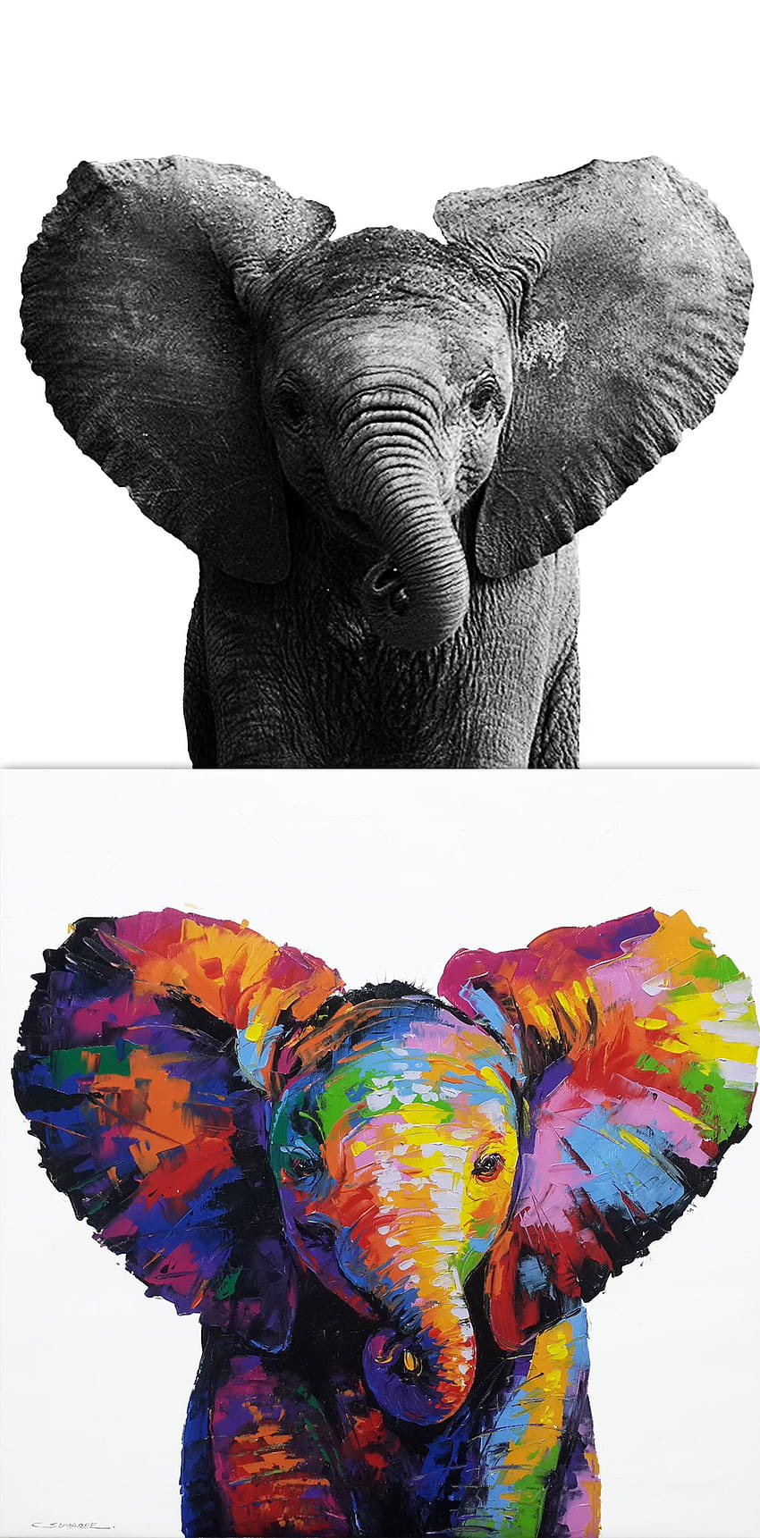 Arte hermoso del elefante de SumareeART. Arte de elefante, arte de retratos de animales, tatuaje de arte de elefante, arte de elefante colorido fondo de pantalla del teléfono