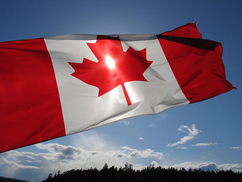 Canada Flag . .wiki, The Canadian Flag HD wallpaper | Pxfuel