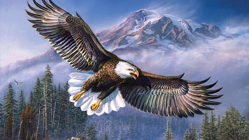 Beautiful Eagle 2015. Nature, 白頭鷲 高画質の壁紙