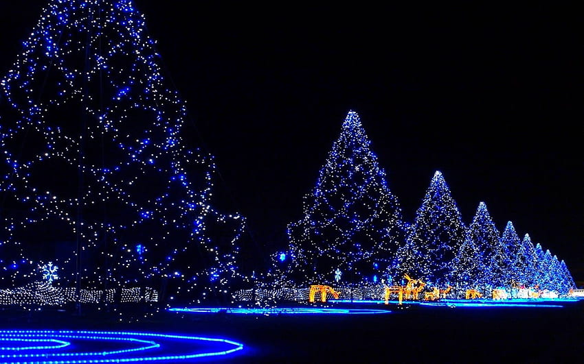 Pohon Natal Tertutup Lampu Merry Christmas Holiday Holidays, Girly Xmas Wallpaper HD